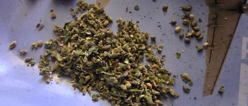 Raspberry Kush MICROS - 28 Grams - Indica photo review