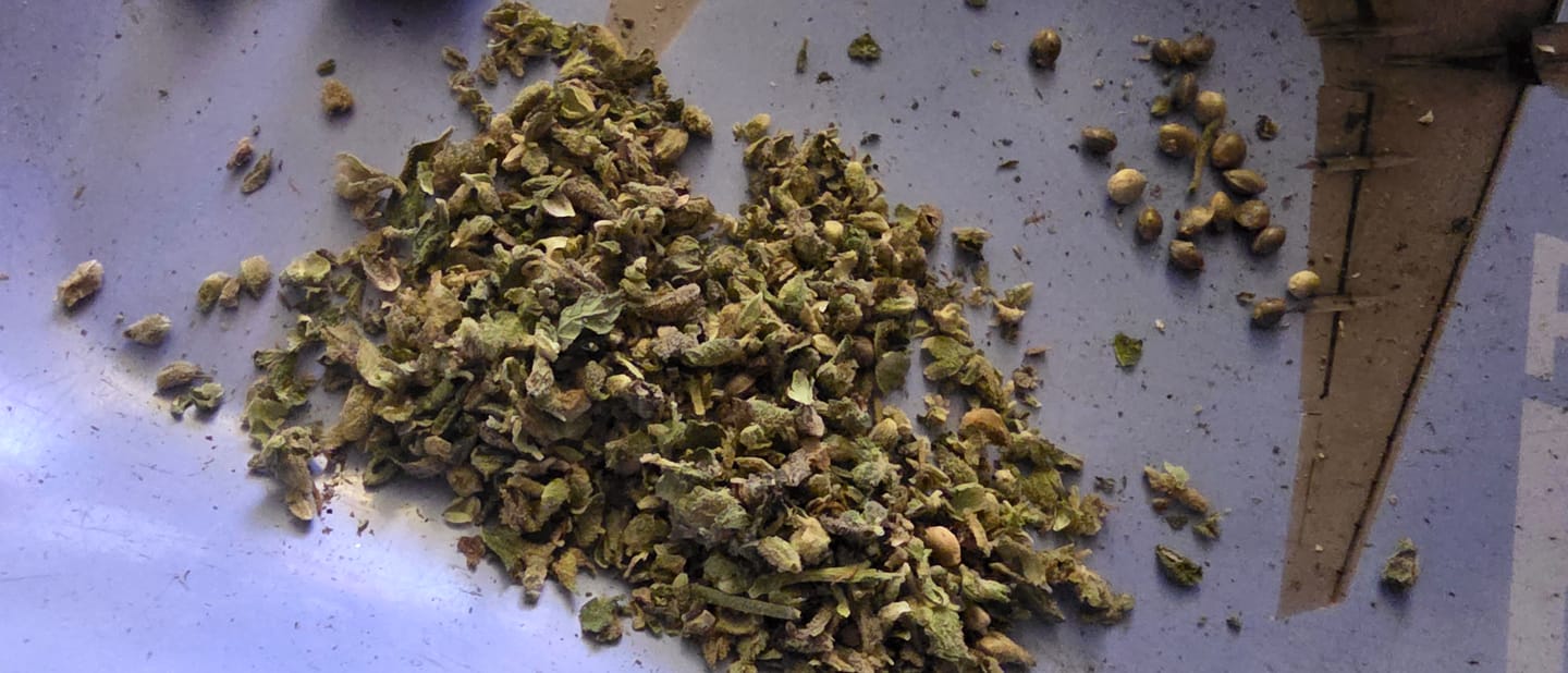 Customer photo review of Raspberry Kush MICROS - 28 Grams - Indica