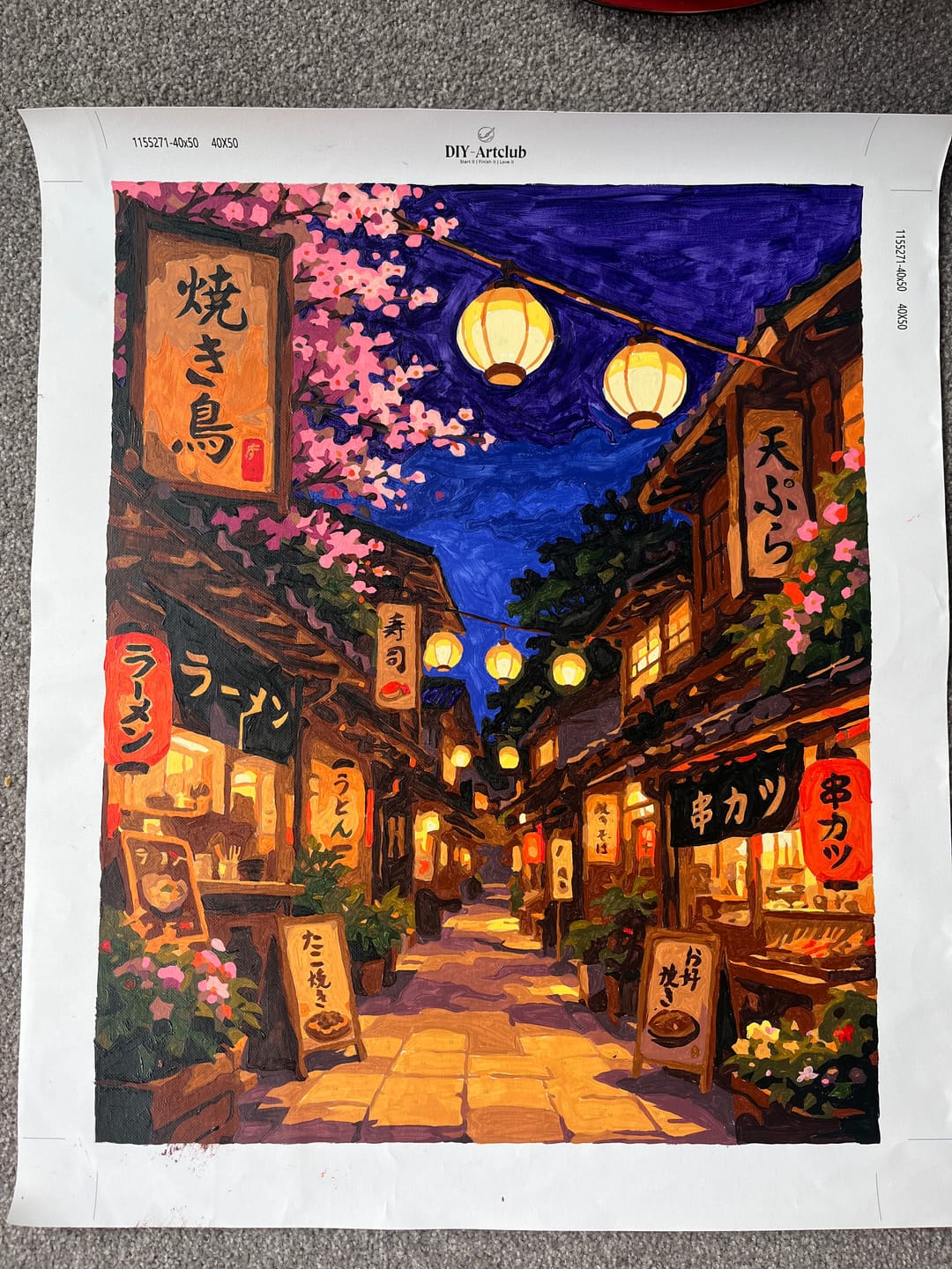 Customer photo review of Sakura Lanterns | Paint by Number