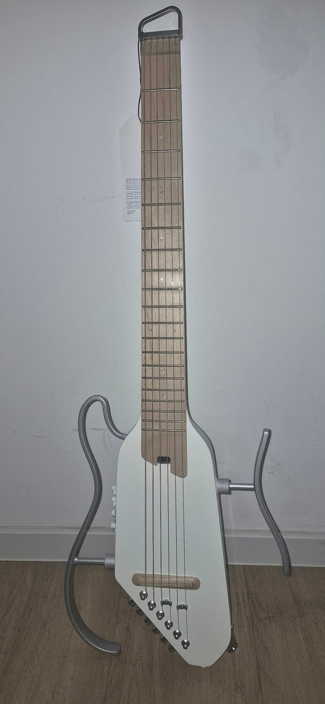 Customer photo review of 【Offene Kiste】Donner HUSH I PRO Reisegitarre