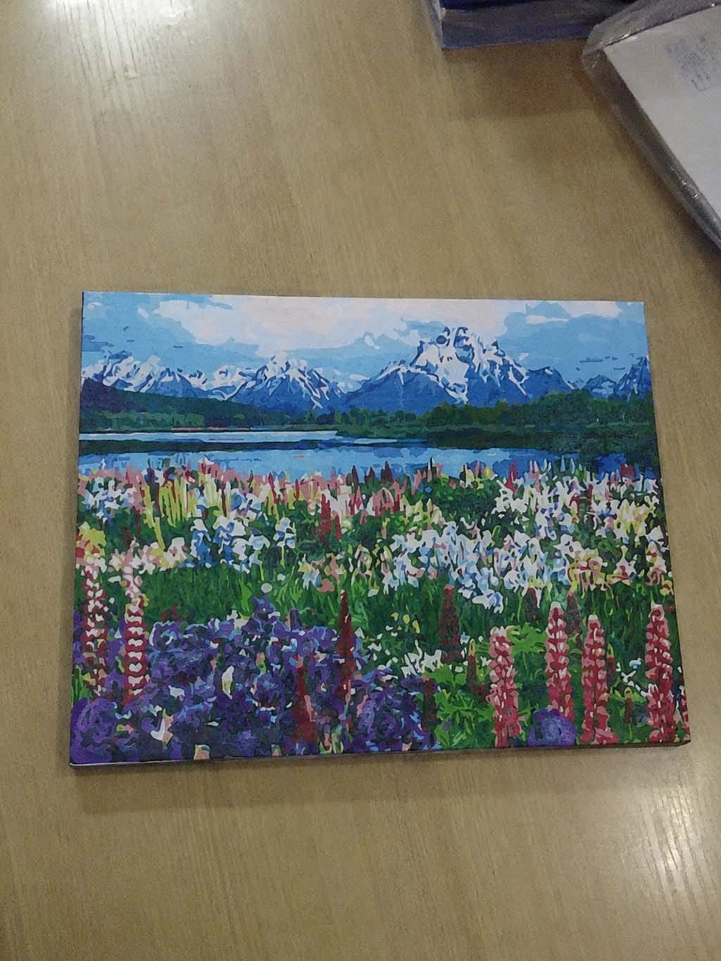 Customer photo review of Fleurs et Lac au pied de la Montagne
