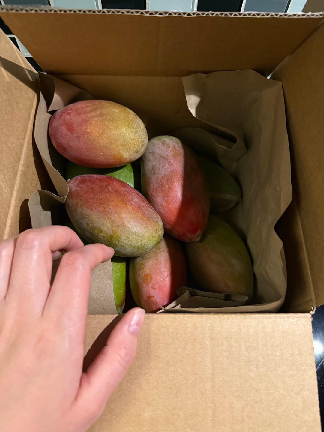 Customer photo review of Mini-Mango Osteen Bio Sonderpreis %