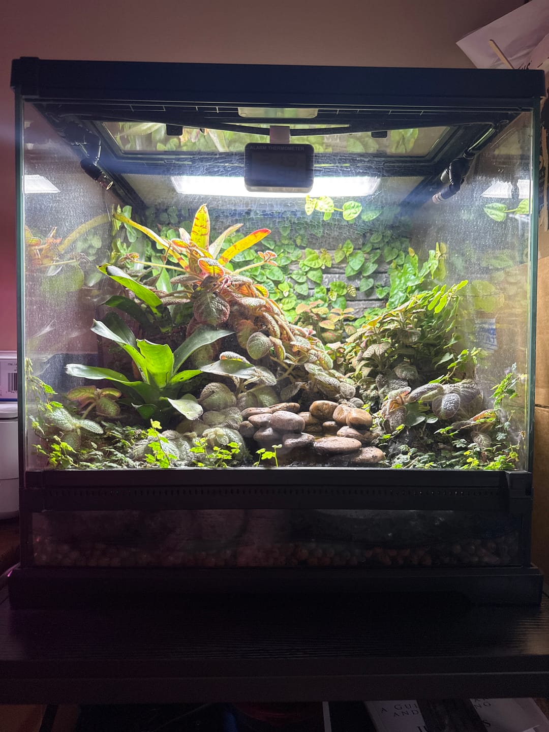 Customer photo review of Arcadia Jungle Dawn LED Bar
