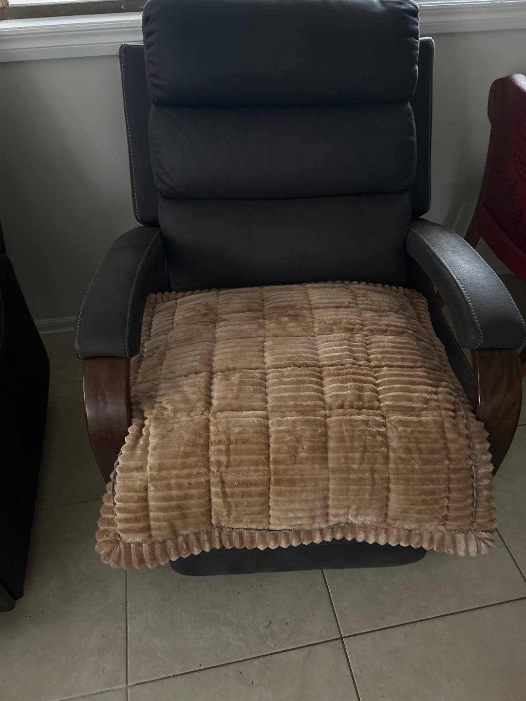 Customer photo review of Cosy Couch - Couch Cover