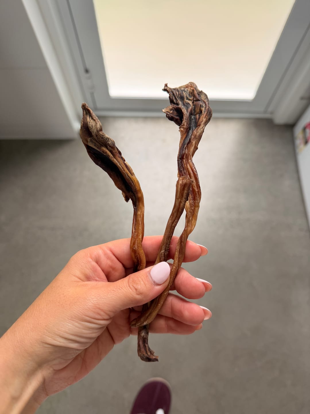 Customer photo review of Roo Tendons