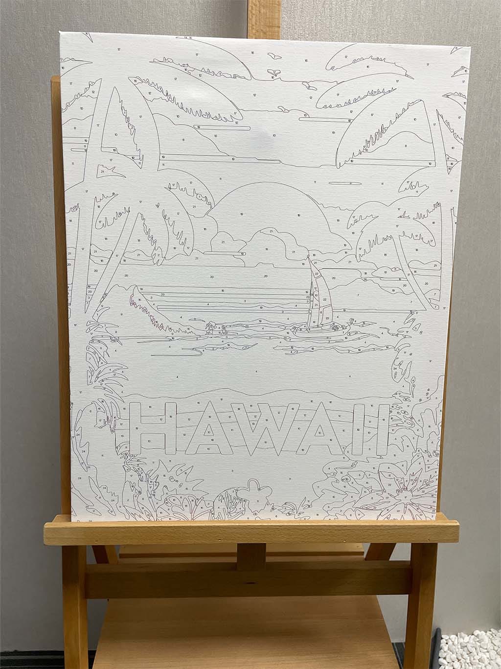Customer photo review of Affiche Vintage Hawaii