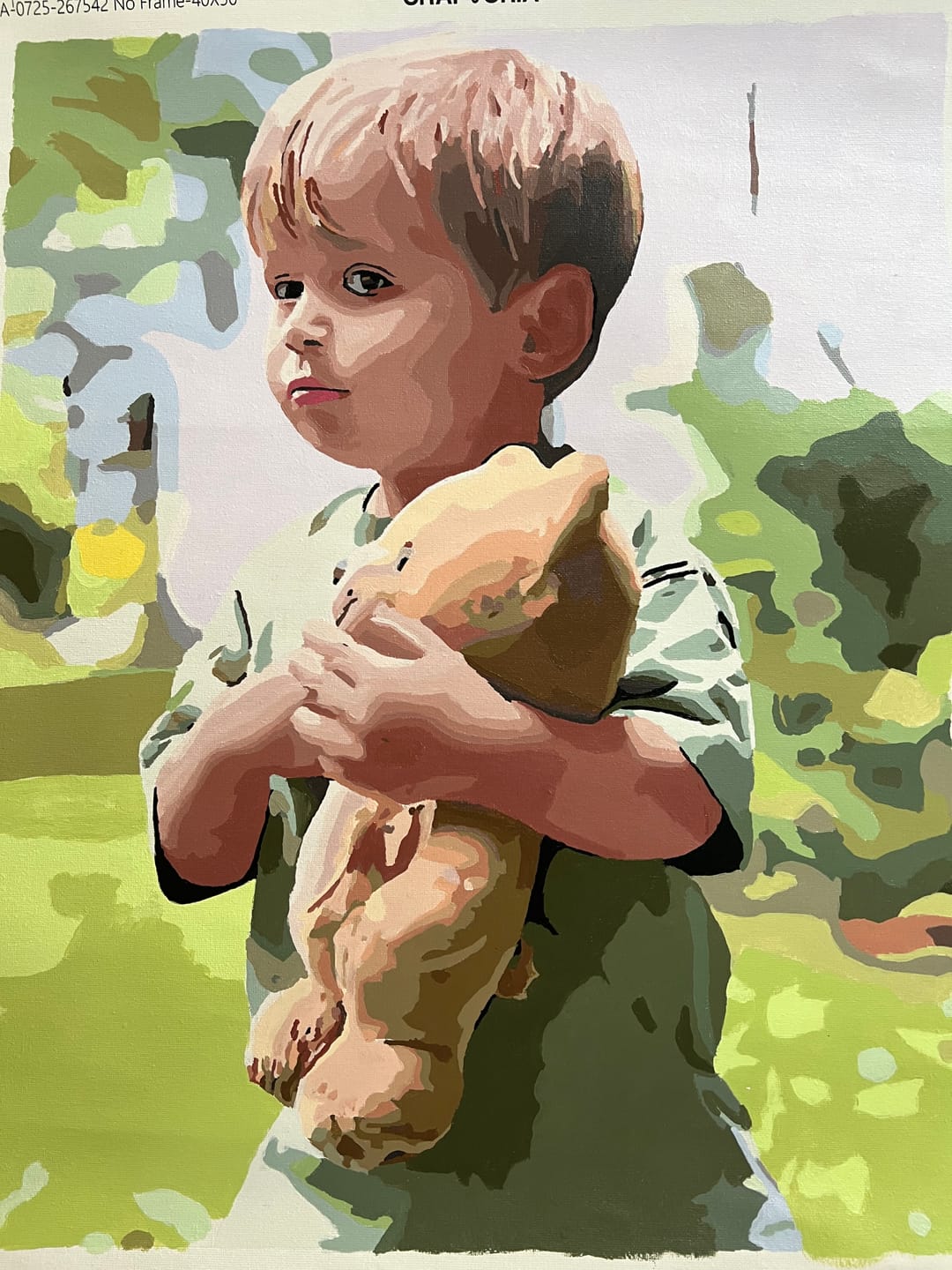Customer photo review of Custom Paint By Numbers Kit