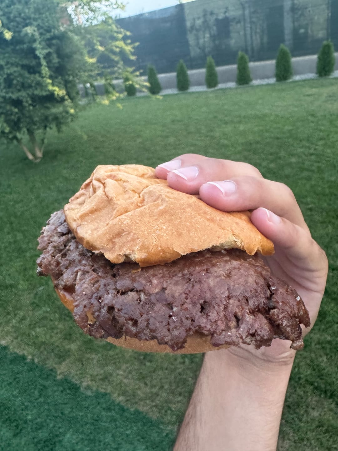 Customer photo review of Classic Potato Rolls • 54gr
