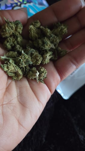 Runtz Cake - Minis - 28 Grams - Hybrid photo review