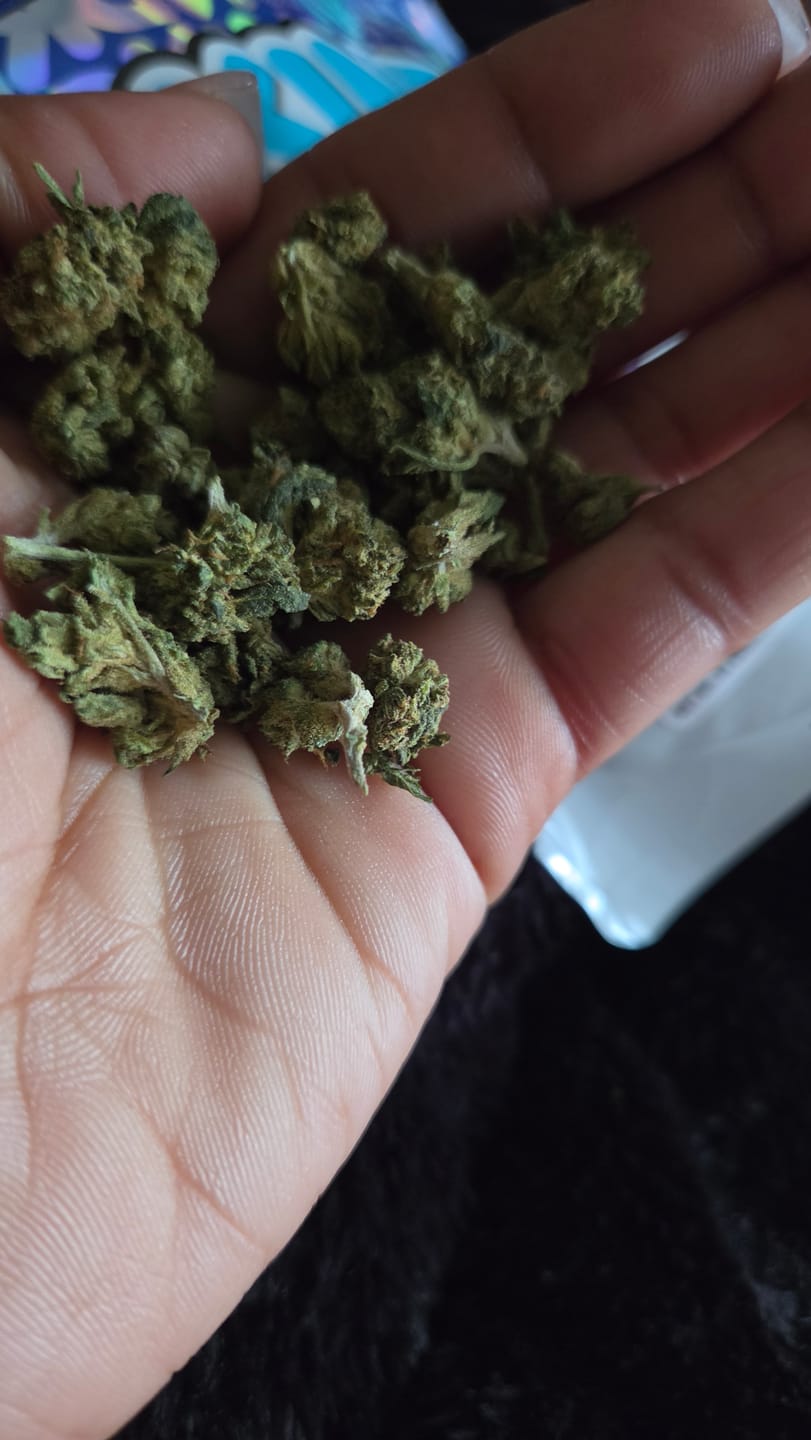 Customer photo review of Runtz Cake - Minis - 28 Grams - Hybrid
