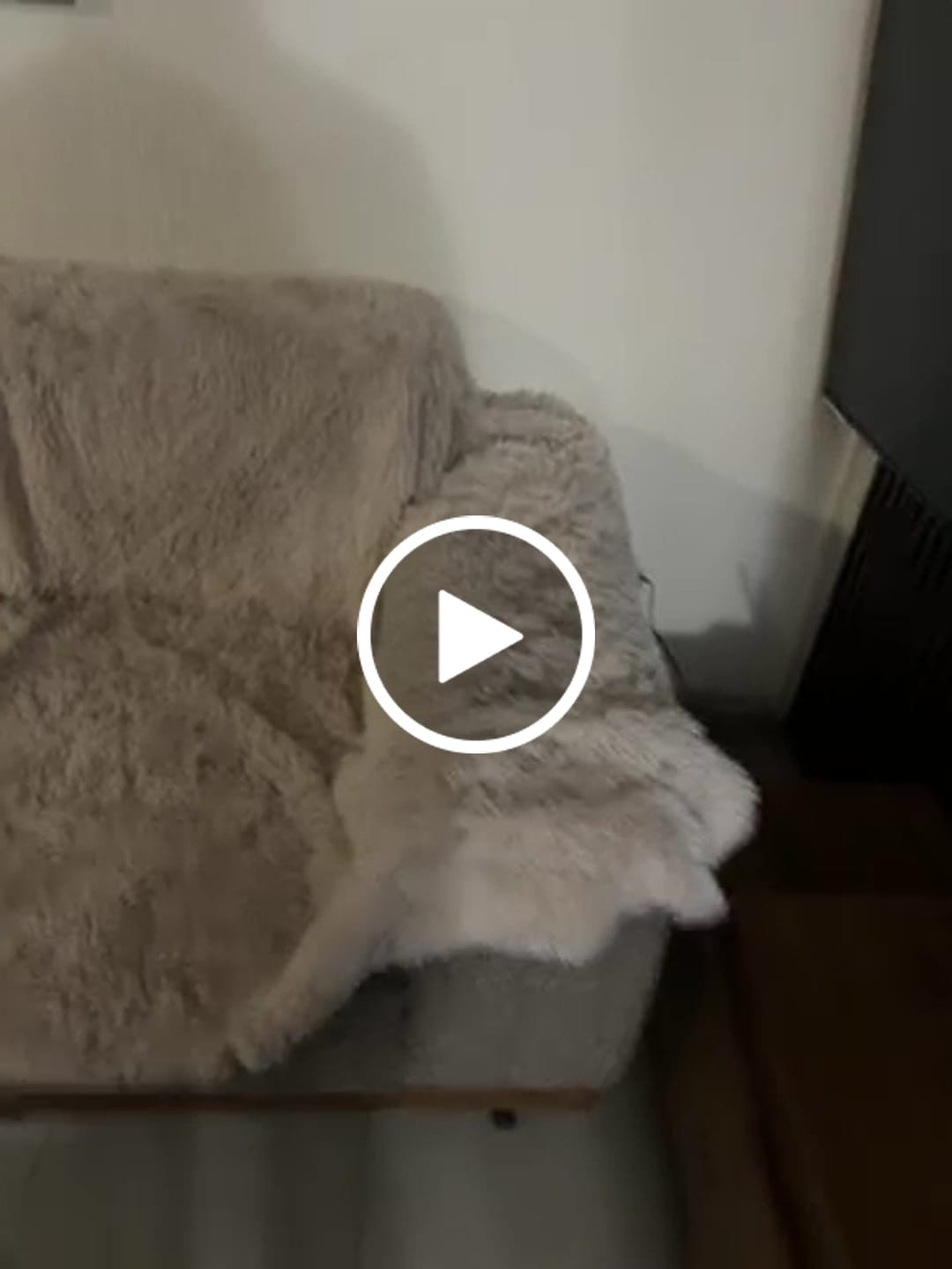 Customer video review of Cobija Impermeable para Perros