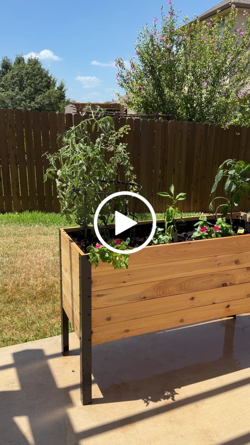 Customer video review of 18″ x 48″ Deep Root Raised Garden Bed - 30″ TALL - Select Grade