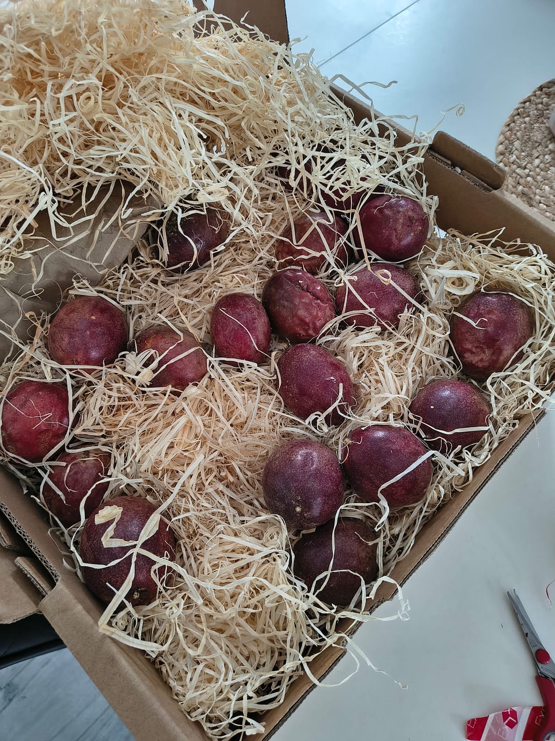 Customer photo review of Passionsfrüchte Bio von Salvador Retteraktion %