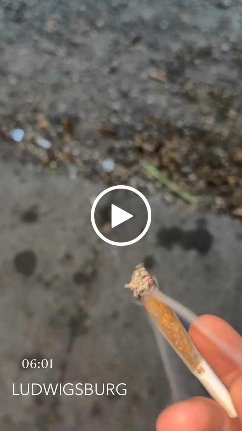 Customer video review of THC-A 31% Blüten Biscotti Mintz