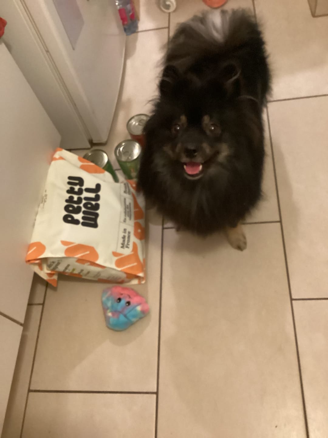 Customer photo review of Croquettes Poulet pour chien (grande) - 1. 56 Mig