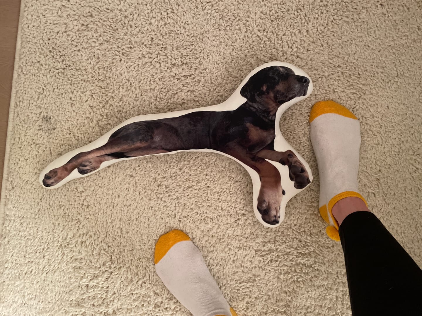 Customer photo review of Pet Pillow Looks Like Your Pet, Customize Dog Shaped Pillow with Pet Photo - ThePetPillow