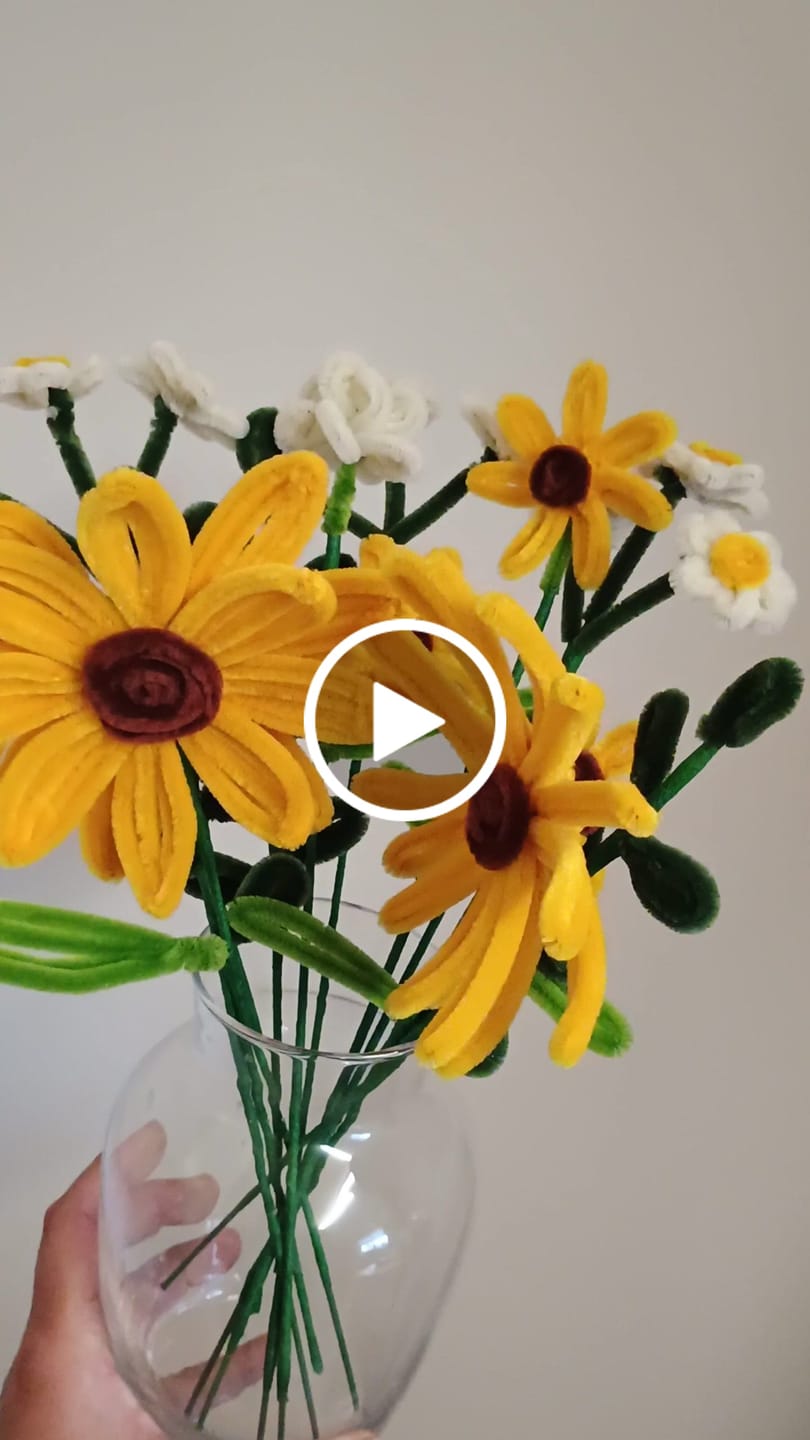 Customer video review of Checkout+
