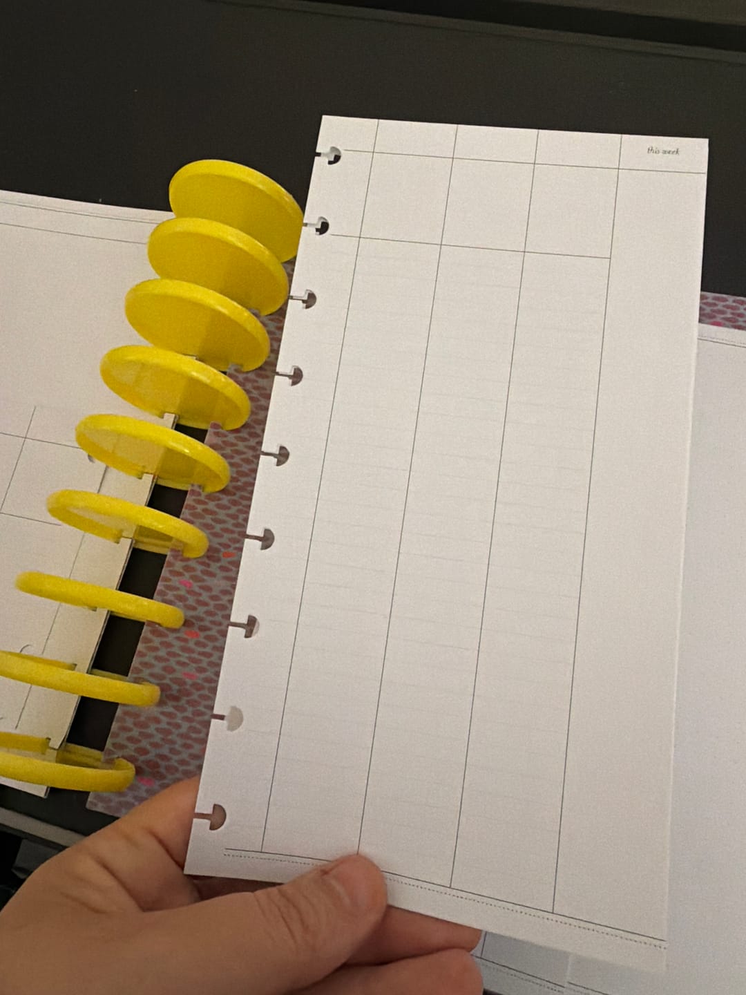 Customer photo review of The Anne | 3-Month Undated Insert Pack | Discbound