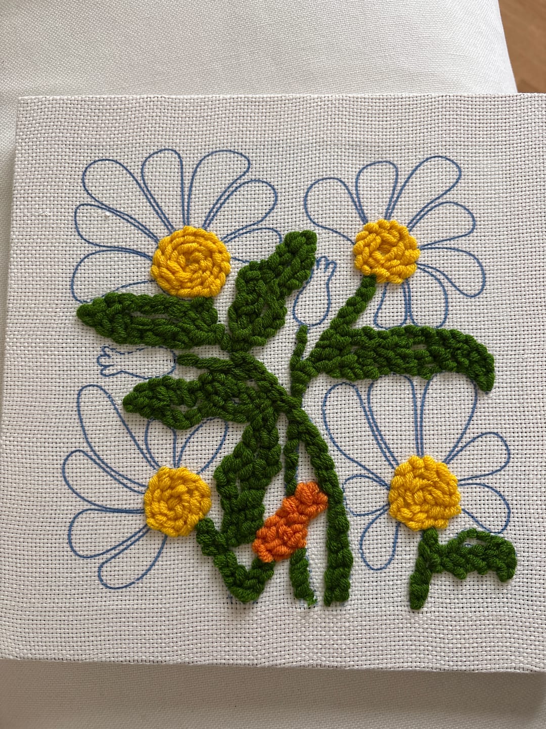 Customer photo review of Daisy Meadow