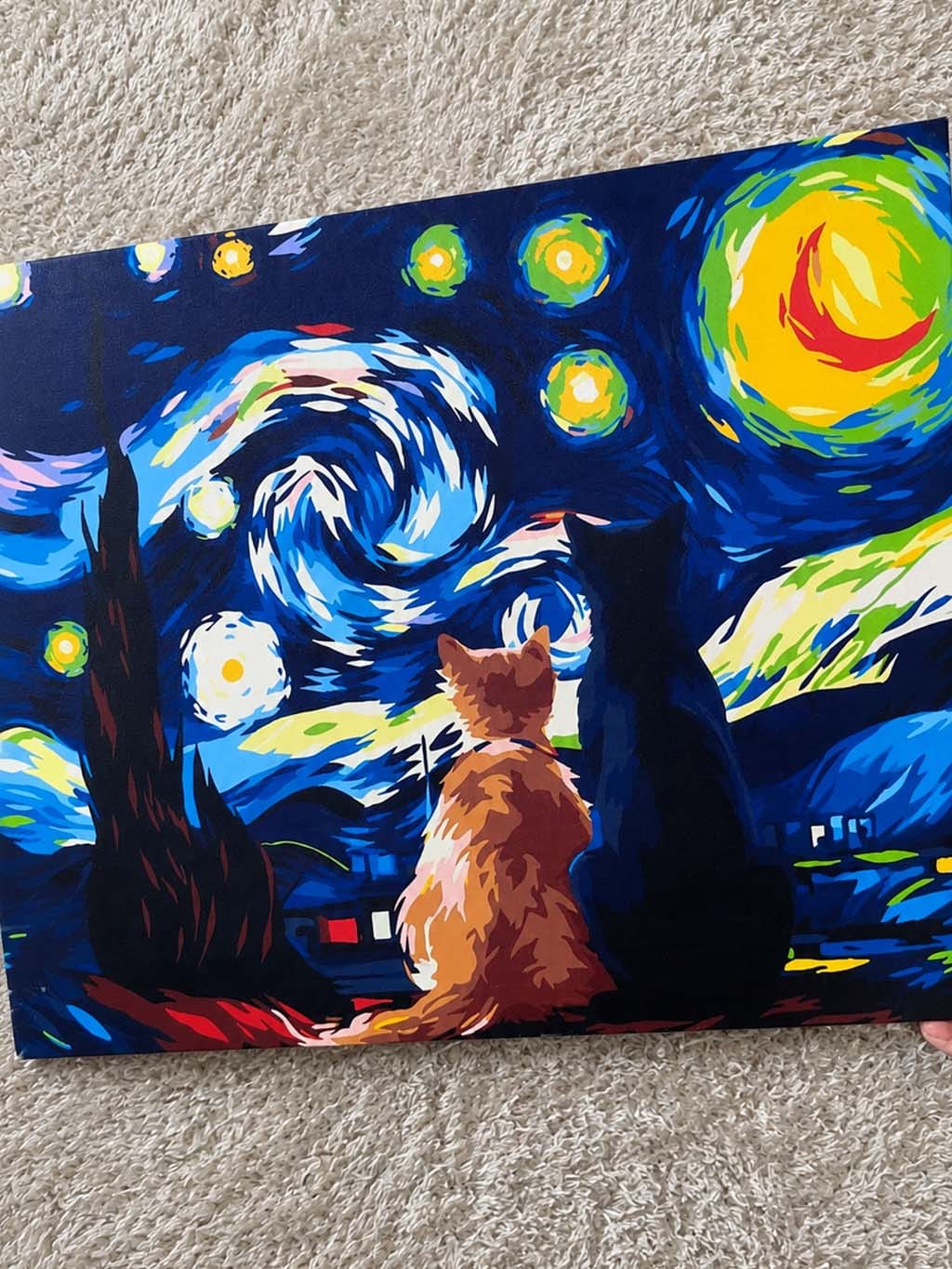 Customer photo review of Compagnons nuit étoilée