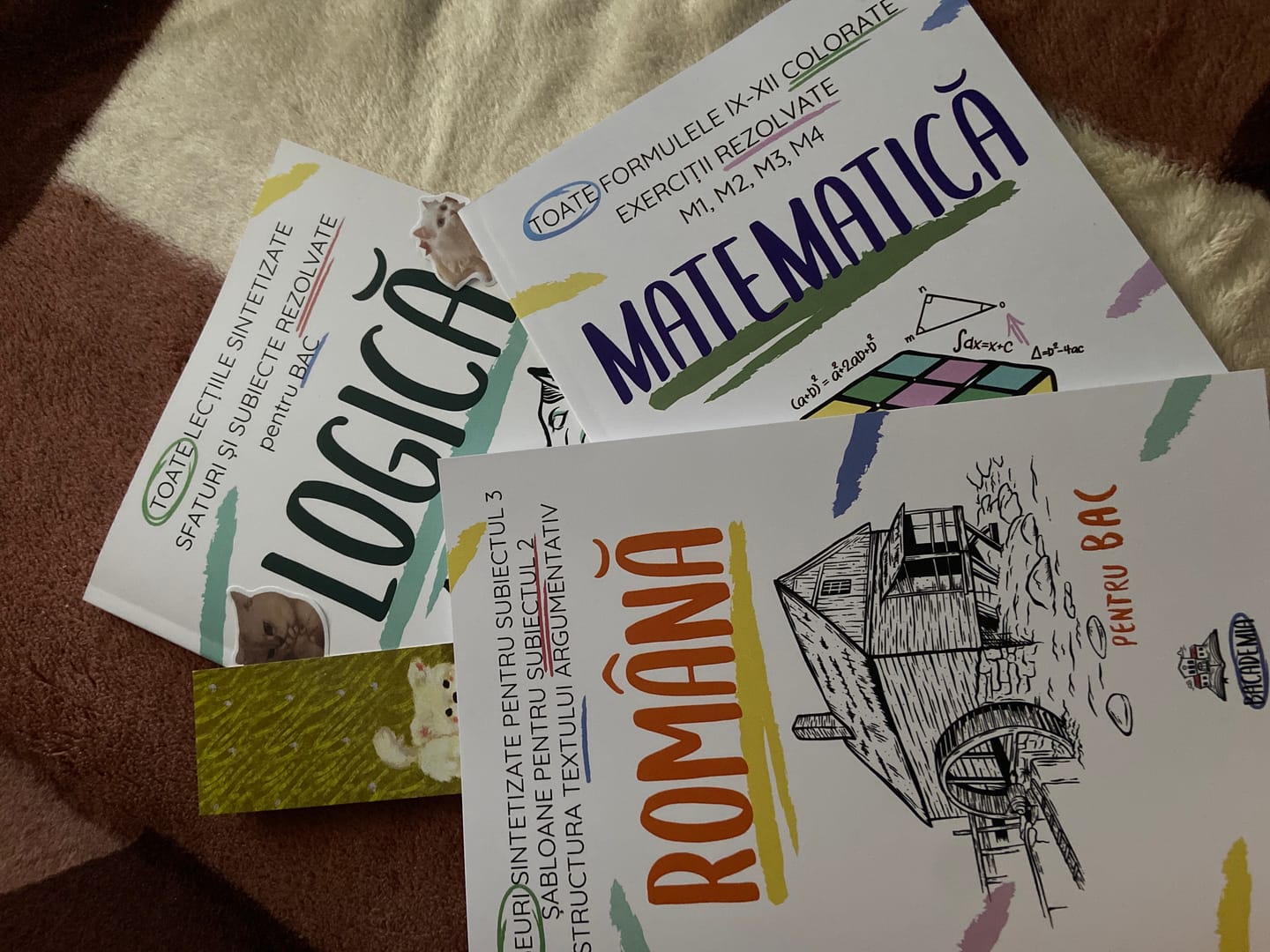 Customer photo review of Pachet Bacalaureat (Română + Matematică + Logică) Bacademia