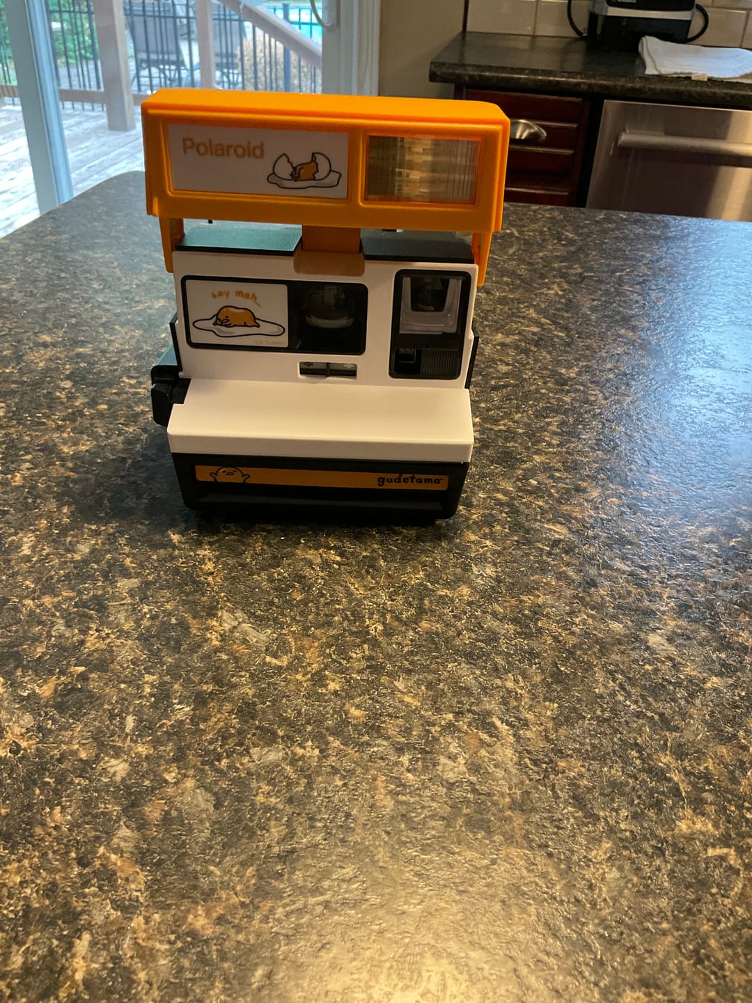 Customer photo review of Polaroid 600 Camera Repair
