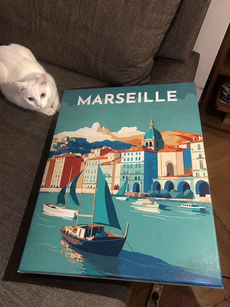 Customer photo review of Affiche Vintage Marseille
