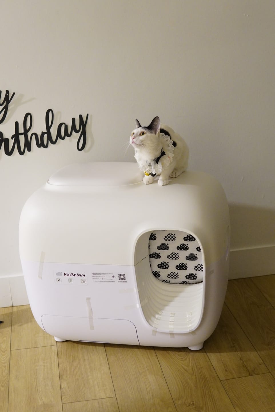 Customer photo review of Self-Cleaning Litter Box