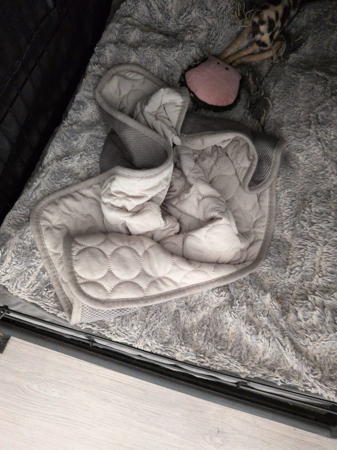 Customer photo review of The Ultimate Cooling Pet Mat