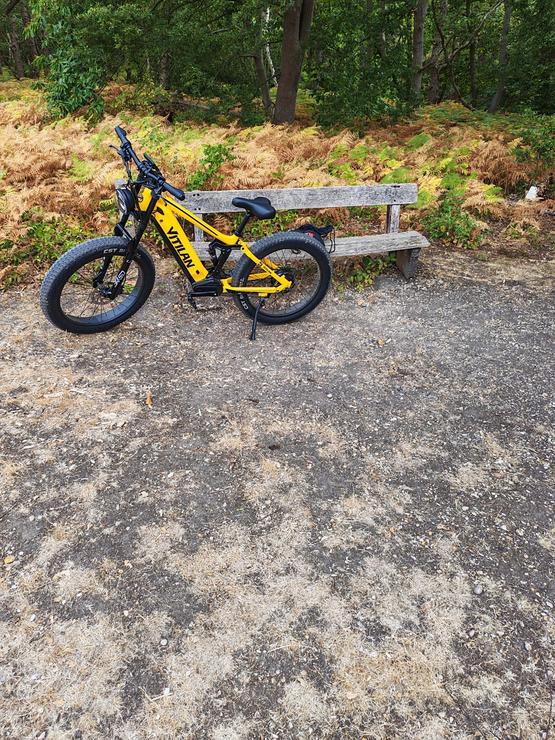 Customer photo review of T7PRO Full Suspension Mountain E-bike