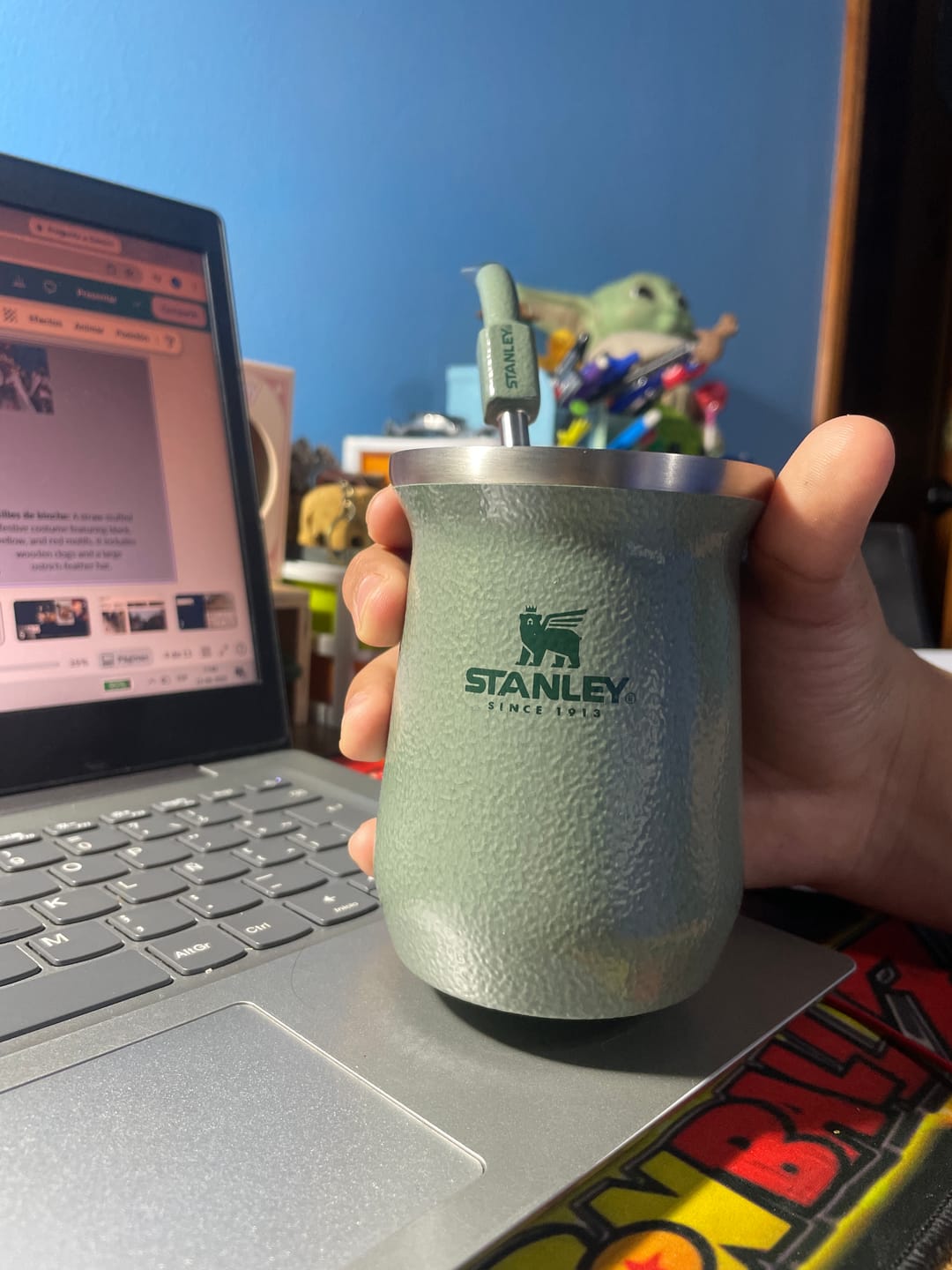 Customer photo review of Mate Verde 236 ml