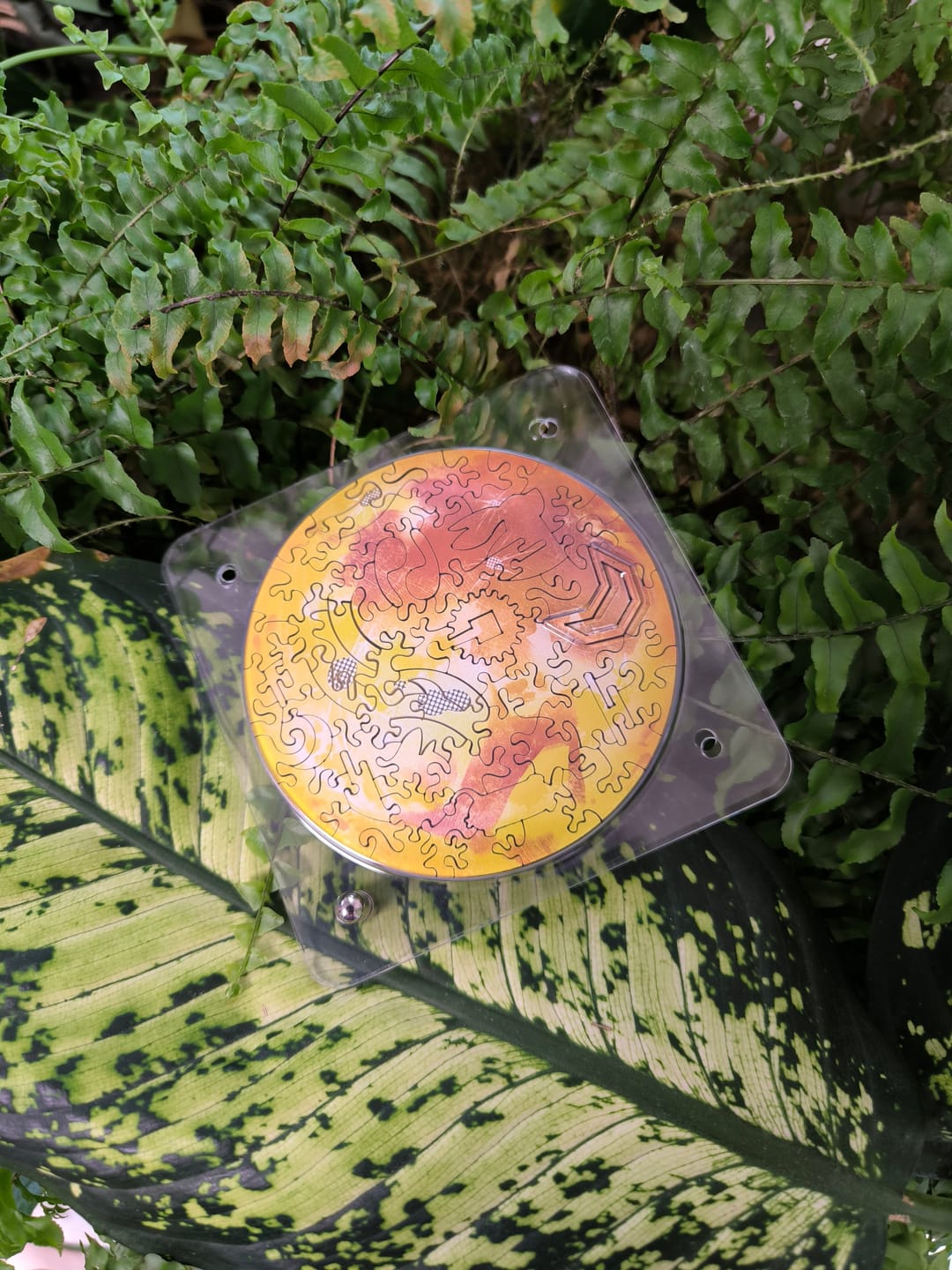 Customer photo review of 【６月入庫分予約】宇宙の破片 MOON 月と専用フレームセット