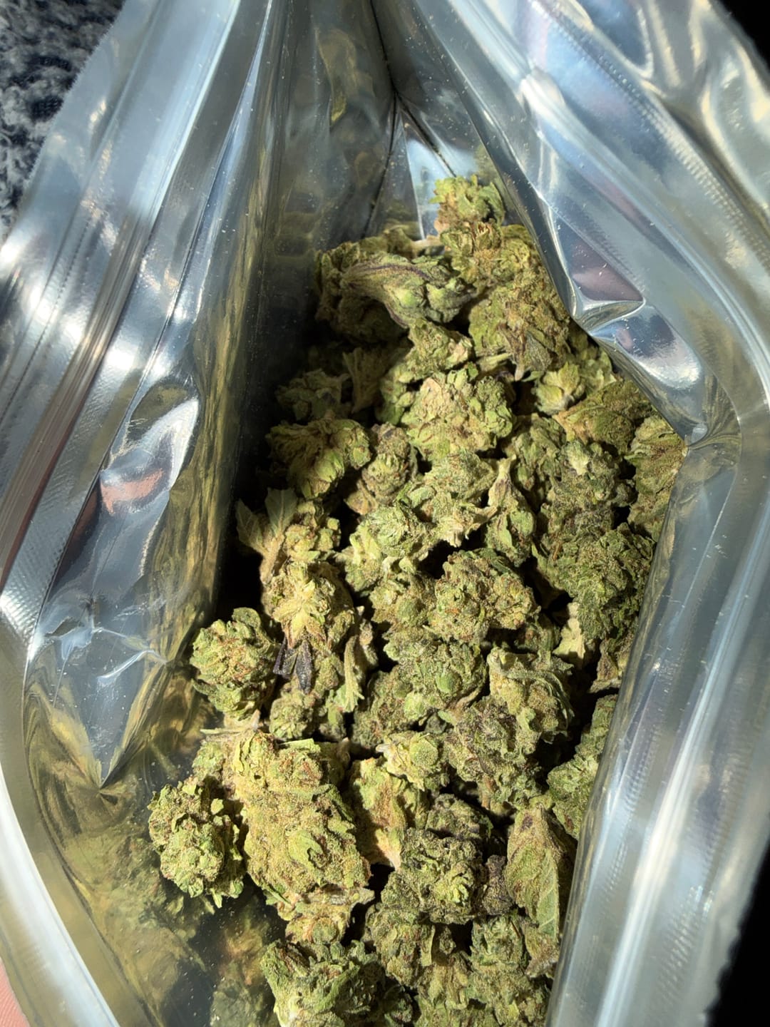 Customer photo review of Purple Punch | THCA Flower Smalls
