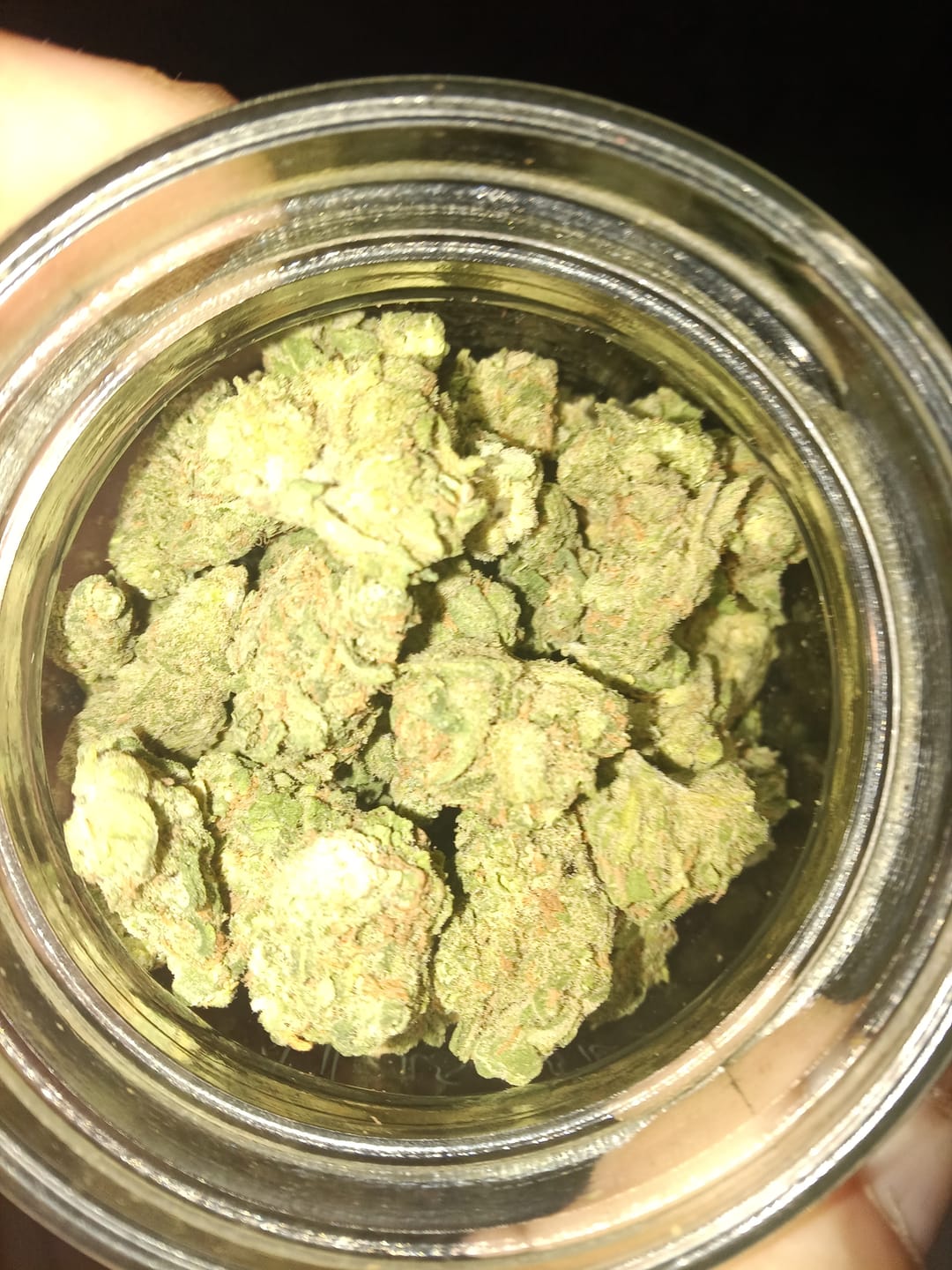 Customer photo review of Blue Dream - 14 Grams - Sativa