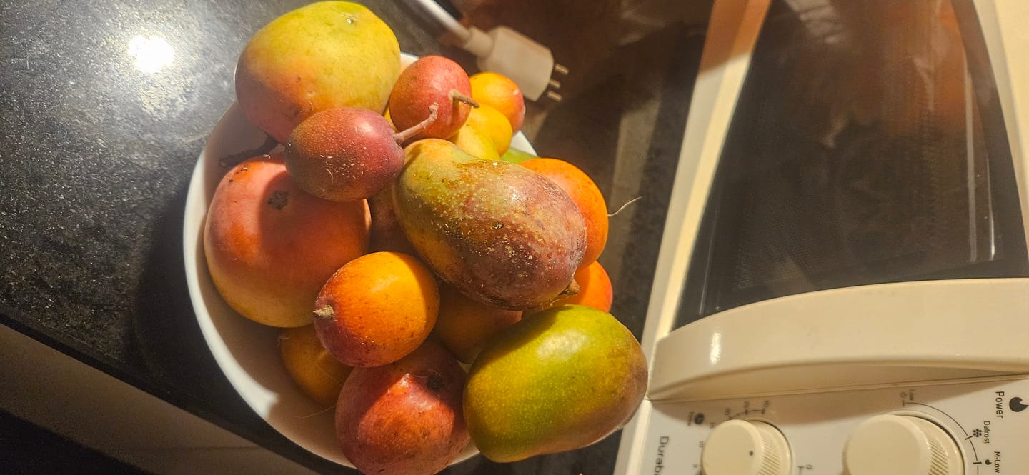 Customer photo review of Baby-Mango Mix "Wild Wonders" von Julian
