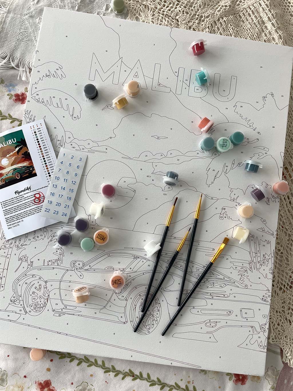 Customer photo review of Affiche Vintage Malibu