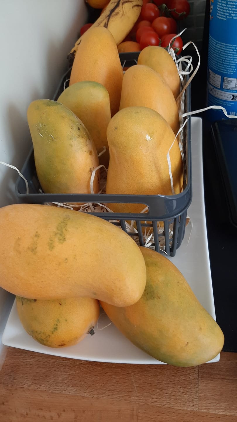 Customer photo review of Mango Honig „Ataulfo“ Bio von Julian