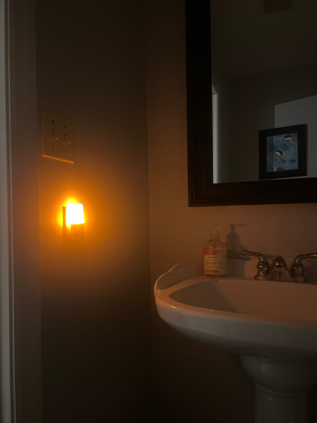Customer photo review of Circadian Night Light