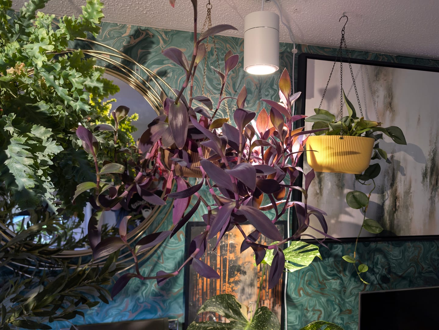 Customer photo review of Claria Grow Light Pendant