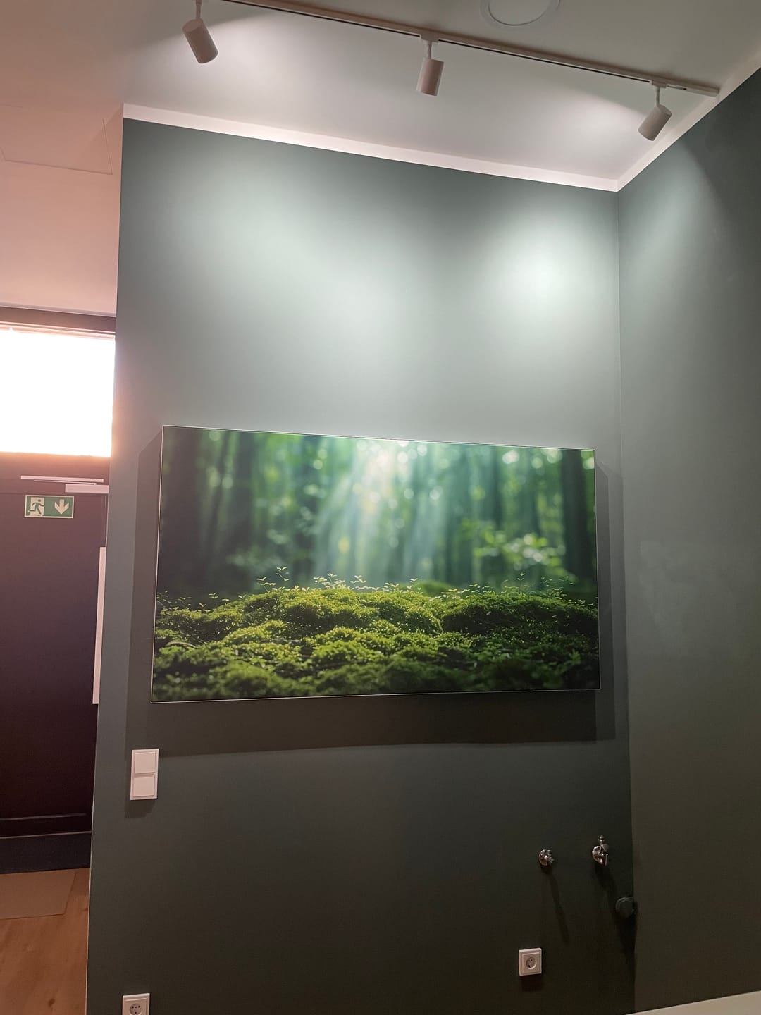 Customer photo review of Akustikbild "Wald im Nebel"