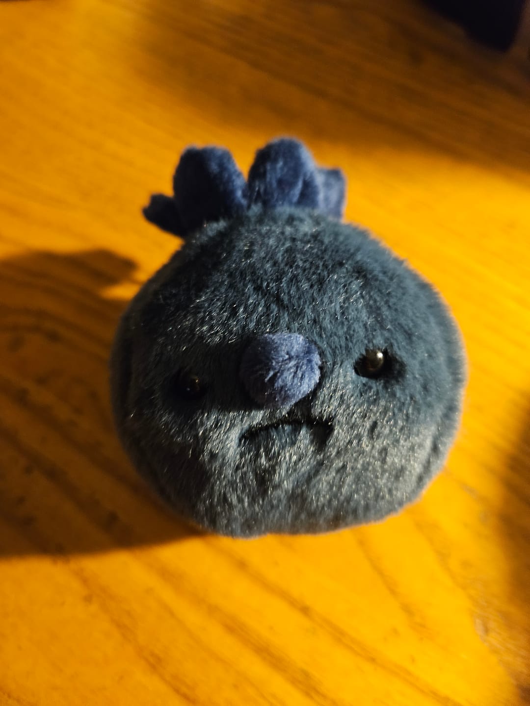 Customer photo review of Forgotten Single Blueberry