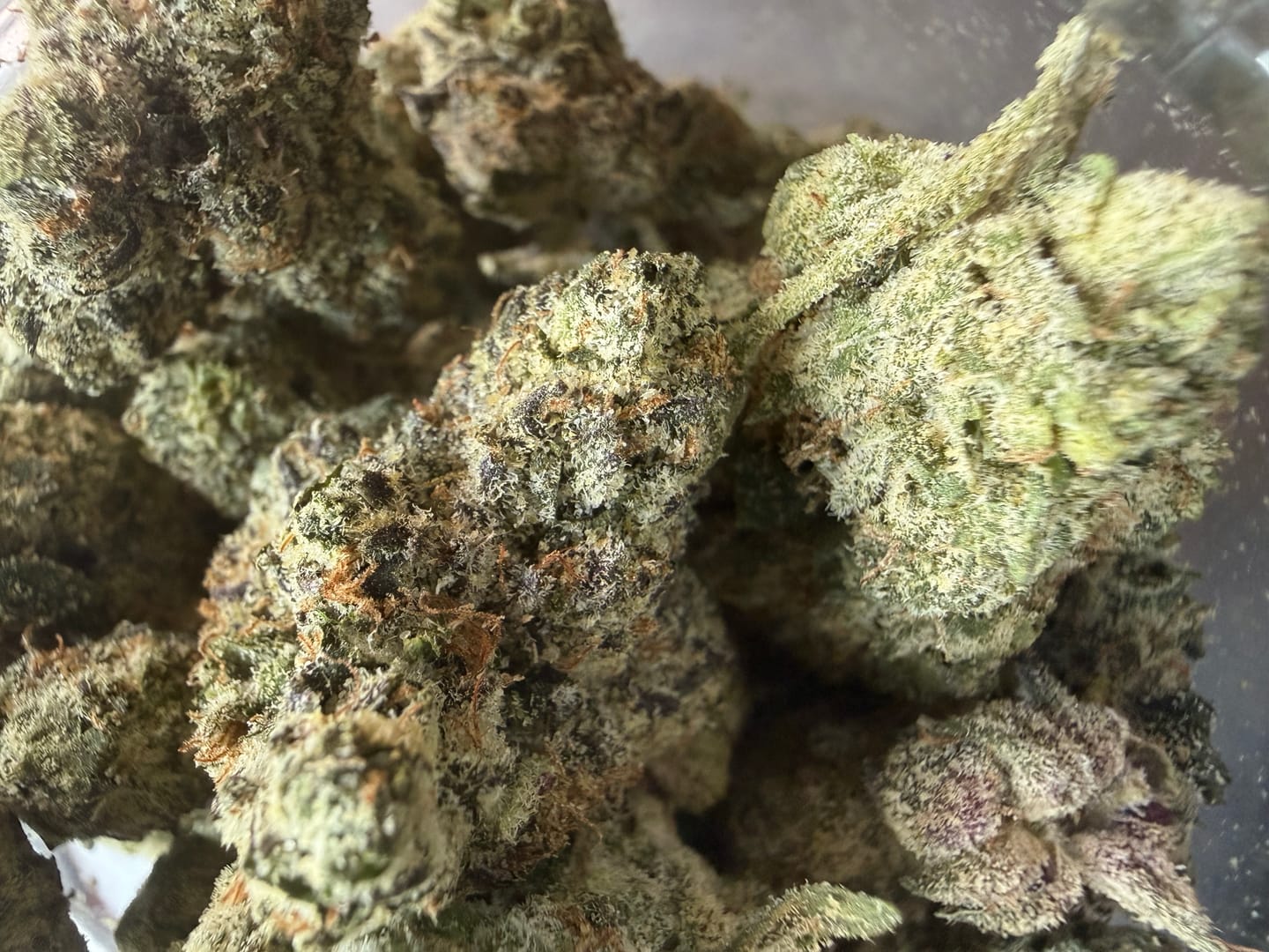Customer photo review of Blueberry THCA Flower (Exotic)