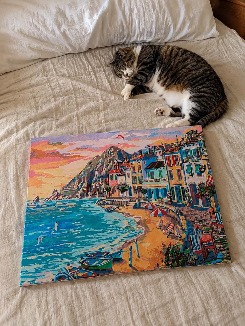 Customer photo review of Vacances à la Plage
