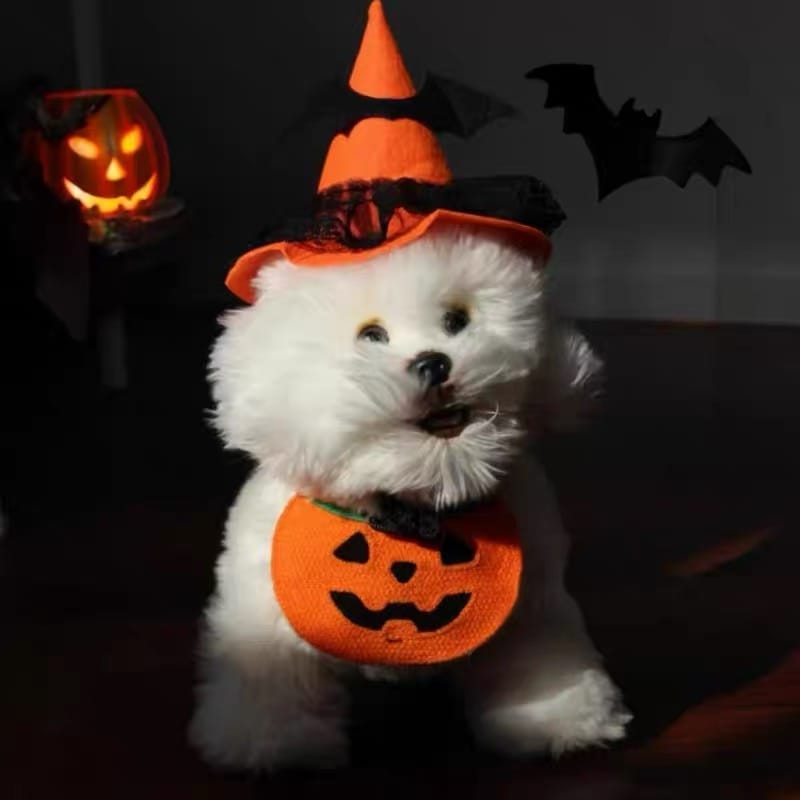 Customer photo review of Halloween Bandana Costume Bib