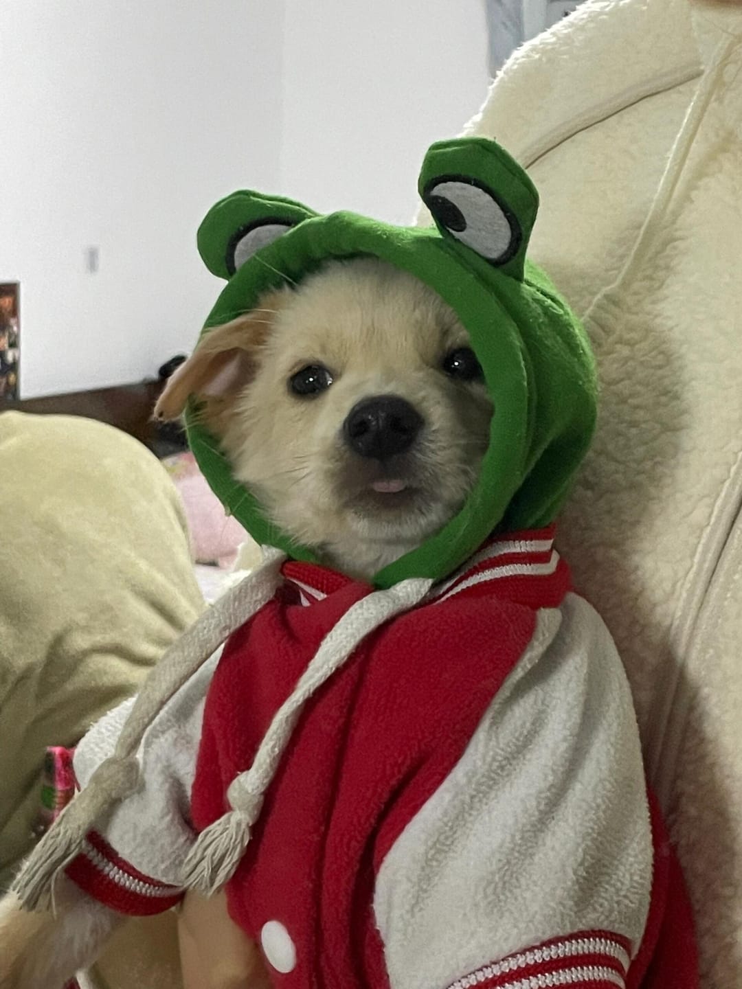 Customer photo review of Frog Hoodie Fleece Sweater