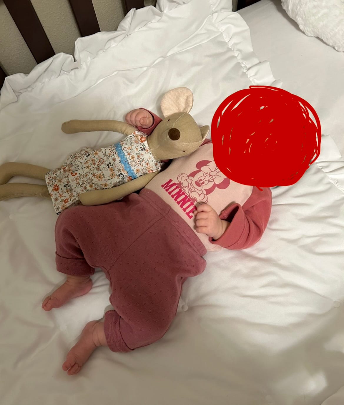 Customer photo review of Cute Cotton Mouse Toy