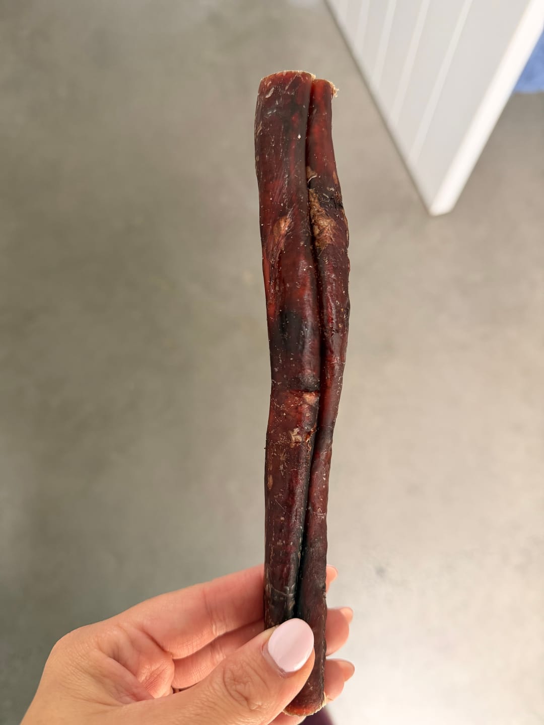 Customer photo review of Beef Pizzle (THICK & Long)