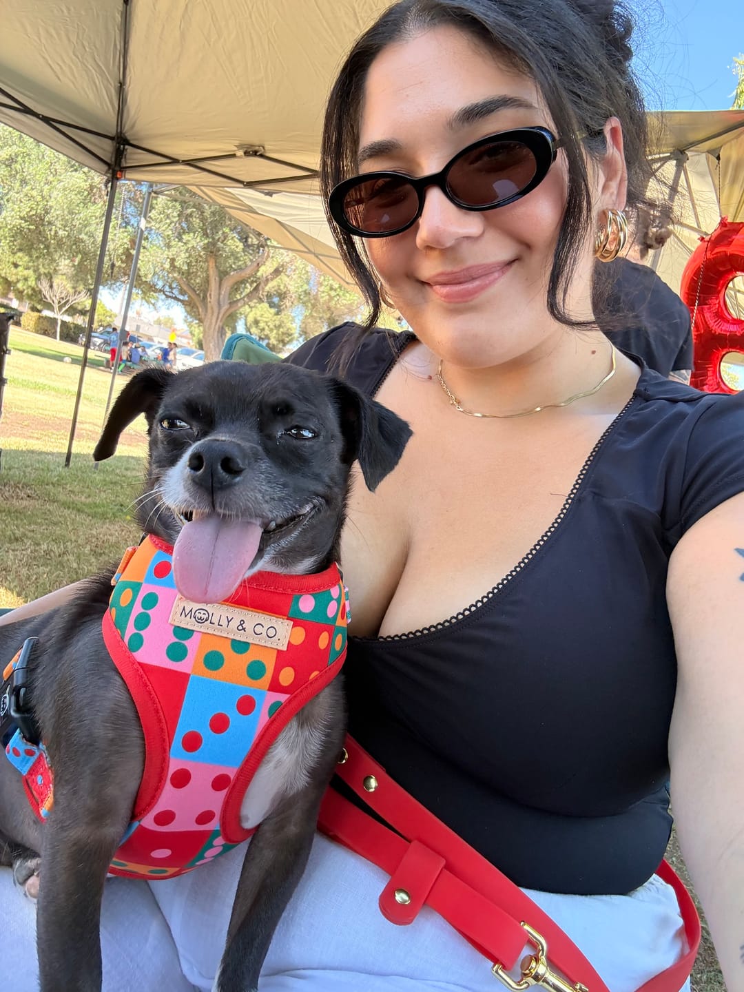 Customer photo review of Doble Seis - Adjustable Dog Harness