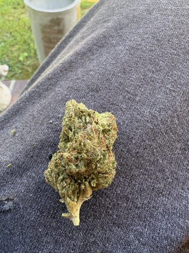 Bruce Banner  - 28 Grams - Hybrid photo review