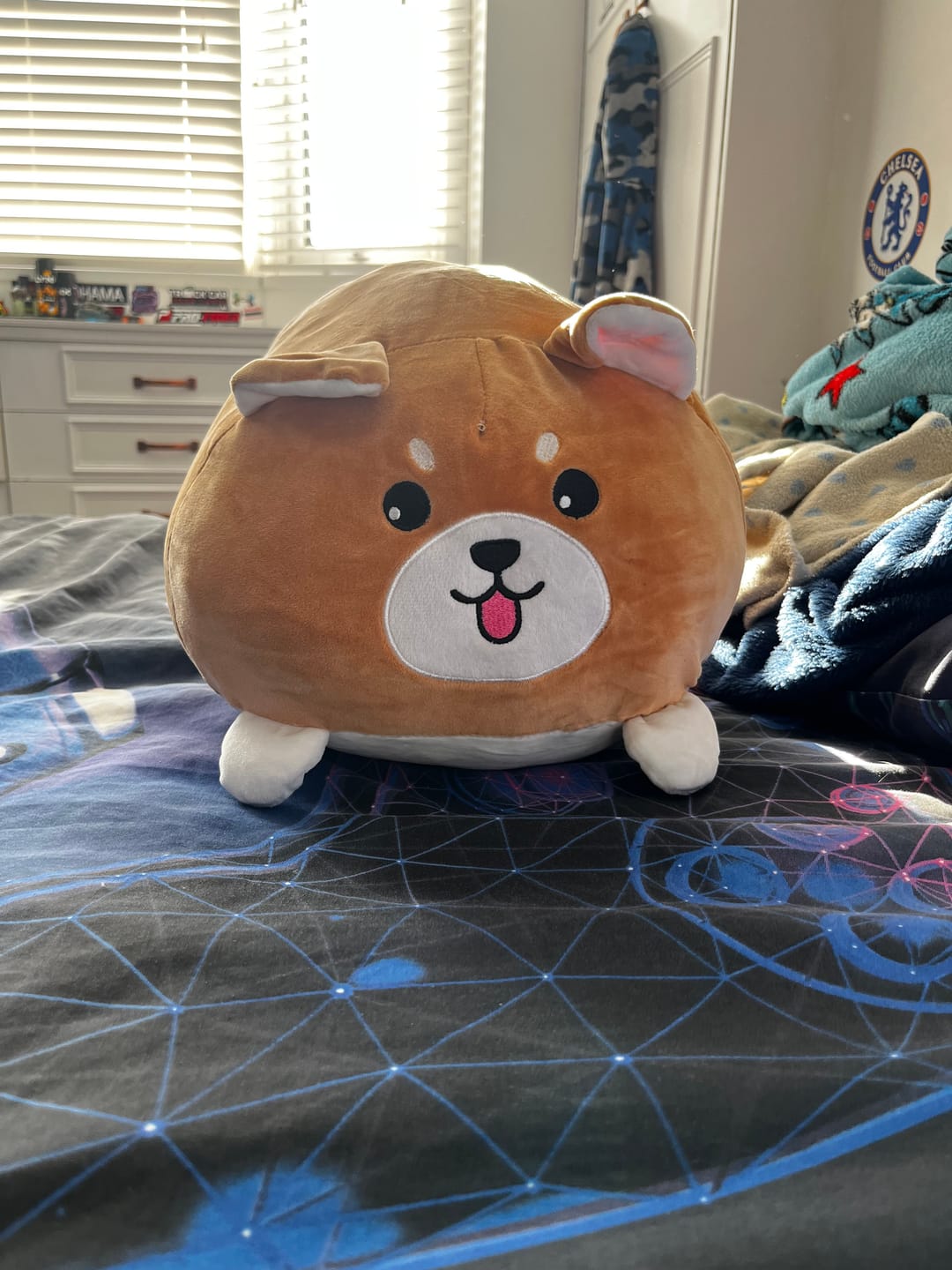 Customer photo review of Animal Pillow Plushie
